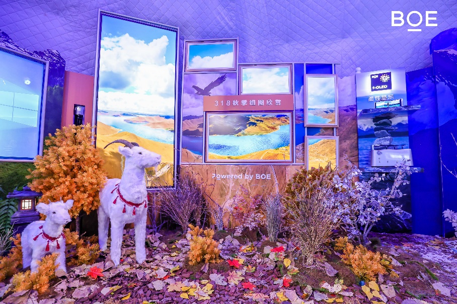 1697899971505851.jpg 图片3.jpg