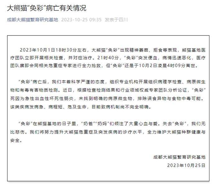 1698206513565932.jpg 1.jpg